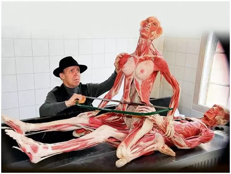 米蘭將舉辦尸體展！骨骼，肌肉，血管...一覽無遺！你敢看嗎?